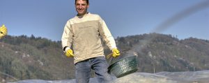 Bauern gehen die Saisonarbeiter aus