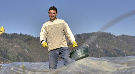 Bauern gehen die Saisonarbeiter aus
