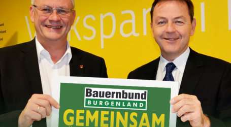 Berlakovich wird Präsident der burgenländischen Kammer