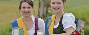Niederösterreich sucht neue Milchhoheiten
