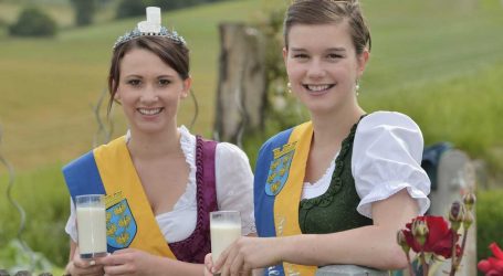 Niederösterreich sucht neue Milchhoheiten