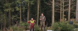 Wildschadensberatung in OÖ gut angenommen
