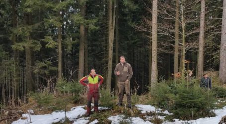 Wildschadensberatung in OÖ gut angenommen