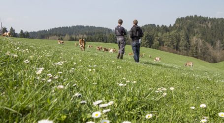 LK Vorarlberg will besser kommunizieren