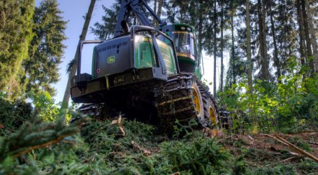 Massive Nachfrage nach neuen Forstharvestern