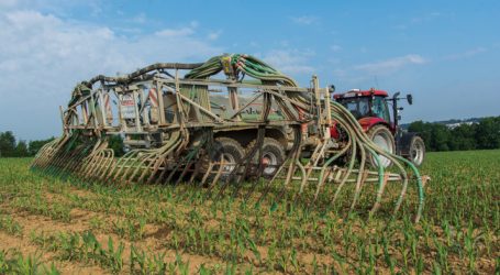 Hiegelsberger wirbt um Verständnis für Bauern