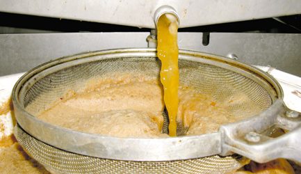 So gelingt Qualitätsmost