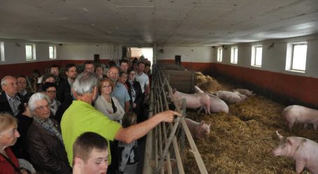 25 Betriebe machen bei „Open Bauernhof“ mit