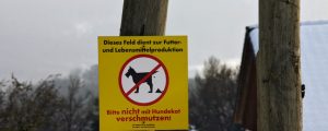 Hundekot wird immer größeres Problem