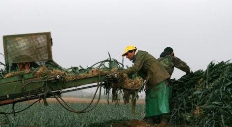 Tiroler Bauern gehen Saisonniers aus