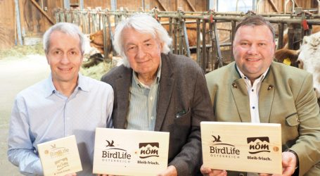 NÖM startet Kampagne zum Schwalbenschutz