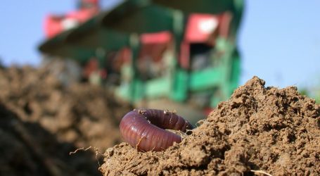 „Ökologisierung der Landwirtschaft als politischer Auftrag“