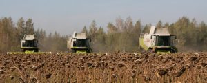 EU-Agrarausschuss für „Abschneiden“ bei großen Betrieben