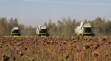 EU-Agrarausschuss für „Abschneiden“ bei großen Betrieben