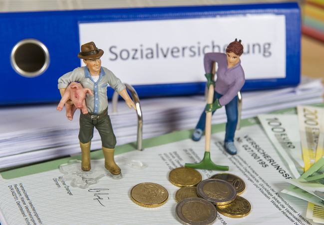 Sozialversicherung: Kammer sieht Leistungen gesichert - Blick ins Land