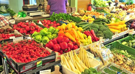 „Es gibt kein Patentrezept“