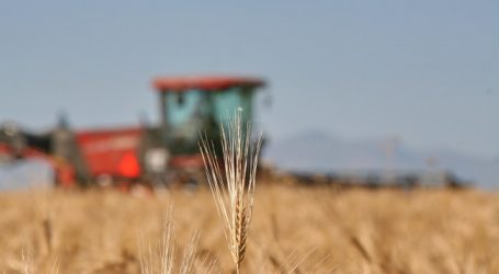 Bio Austria gibt Richtpreise für Futtergetreide heraus