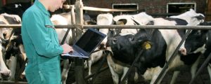 Projekt D4Dairy soll Digitalisierung vorantreiben