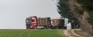 OÖ verlängert Ausnahmen zum Schadholz-Transport