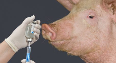 Reserveantibiotika im Stall nur mehr in Ausnahmefällen