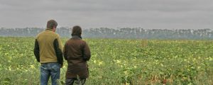 Ukraine möchte Biolandwirtschaft forcieren
