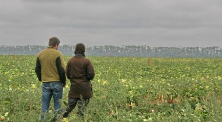 Ukraine möchte Biolandwirtschaft forcieren