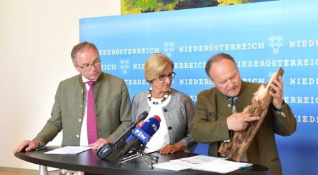 NÖ startet „Waldschutzprogramm“