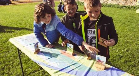 Landjugend hilft „Landwirtschaft begreifen“