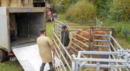 Pilotprojekt zur mobilen Schlachtung startet