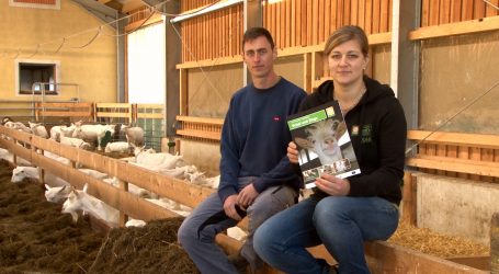 Bio Austria bietet Selbstevalierung für Tierwohl
