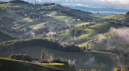 Weinbau: Steiermark steigt ins DAC-System ein