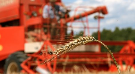 Getreideernte im Burgenland weitgehend abgeschlossen