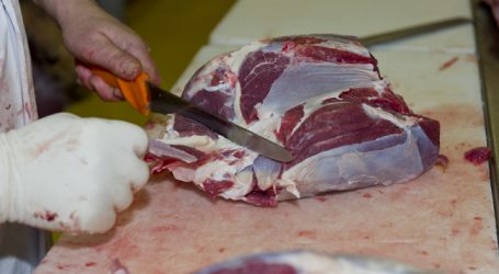 Kein Futter: Deutsche Notverkäufe bei Schlachtrindern