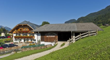 Urlaub am Bauernhof startet Innovationsprozess