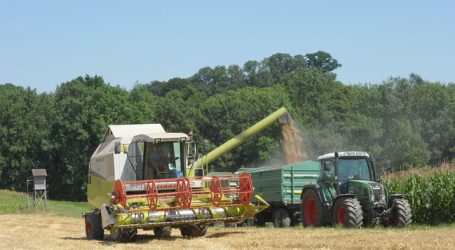 Landwirtschaftskammern wollen Gütesiegel für Getreide