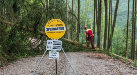 Forstliche Sperrgebiete sorgen für mehr Sicherheit