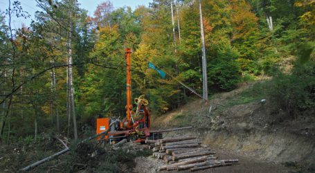 Moosbrugger: „Wald-Einheitswert rasch nach unten korrigieren“