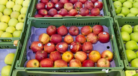 Apfellager in Österreich sind geräumt