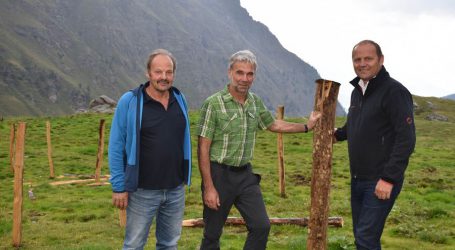 Südtirol erprobt Zaun gegen Wölfe