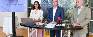 Waldviertel: Vergrämungsmaßnahmen gegen Wolf erlaubt