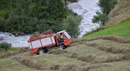 Auswirkungen der Dürre auf Milchpreise noch offen