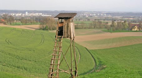 Wölfe: Niederösterreich ändert Jagdgesetz