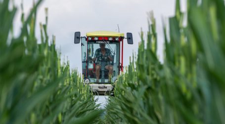 Diskussion um züchterische Zukunft Europas