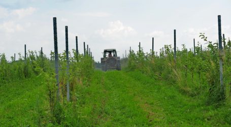 EU: Zulassung von Pflanzenschutzmittel soll strenger werden