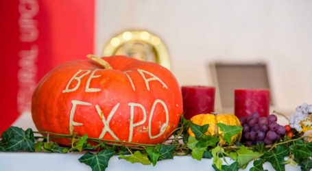 Betaexpo-Familientag bei der Zuckerfabrik Tulln