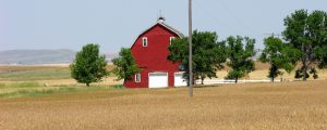 US-Farmer erhalten Milliardenhilfen