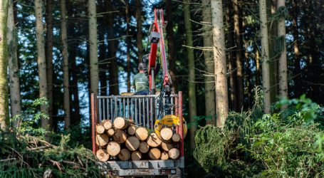 Holzkraftwerke brauchen Nachfolgetarife