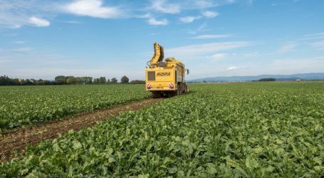 Agrana-Zucker nun offiziell „ohne Gentechnik“
