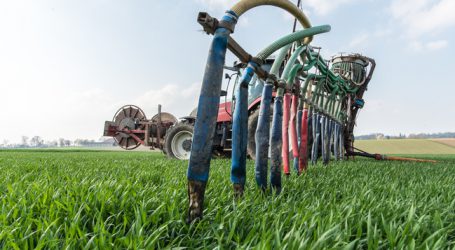 Greenpeace kritisiert Gewässerbelastung durch Schweinehaltung