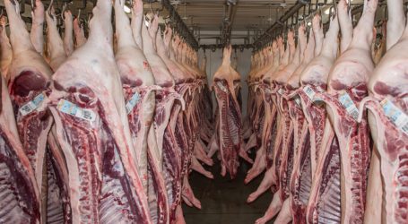 Kontinuität im Handel mit Briten erwünscht